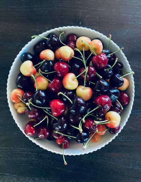 Bowl of fresh-picked Diablo Cherries